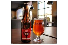 コノユビトマレ クラフトビール IPA 330ml×3本セット 合計990ml 醸造所 アイピーエー 瓶 発泡酒