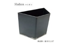 Halion(ハリオン)  ブックエンド （黒皮鉄） 70mm×140mm×102mm 750g 鉄製 卓上 ストッパー