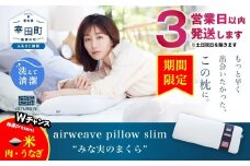 【期間限定 幸田町感謝祭】【3営業日以内に発送！】エアウィーヴ ピロースリム “みな実のまくら” 枕 寝具 低め まくら マクラ 睡眠 快眠 薄い  洗濯可