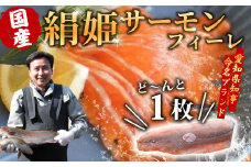 国産サーモン 生食可 絹姫サーモン 冷凍フィーレ 1枚 (300g～400g) サーモン スペシャルトラウト トラウトサーモン 鮭 魚 刺身 お刺身 無添加 絹姫 ブランド マス アマゴ ご当地 天然 産地直送 川育ち 味付けなし 魚介 魚介類 -033