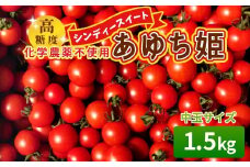 化学農薬不使用 中玉トマト シンディースイート あゆち姫 1.5Ｋｇトマト ミニトマト とまと 野菜 中玉 夏野菜 高糖度 -013