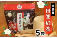 無農薬 田峯紅茶 5袋セット 紅茶 お茶 アイスティー ホットティー 茶 -022