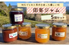 田峯手作りジャム 5個セット すもも 梅 ブルーベリー ゆず マーマレード ジャム 手作り 詰め合わせ  -021