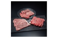 段戸山高原牛フルコースセット -050