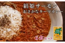絹姫サーモン 奥三河おさかなキーマカレー ６個セット ご当地カレー レトルトカレー カレー 魚 サーモン -009