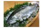 ホウライマス（無斑ニジマス）とアマゴを掛け合わせて生まれたのが、設楽町名産ブランド魚「絹姫サーモン」です。
