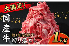 国産牛 段戸山高原牛 切り落とし 酒粕育ち 幻の牛 牛肉 細切り 1kg (200g×5） 1パック200ｇ 小分け 蓬莱泉 肉じゃが 牛丼 -070