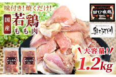 奥三河どり使用！ 田口塩鶏 味付け もも肉  1.2ｋｇ (300g×4）塩ダレ 味付け肉 鶏肉 鶏 肉 キャンプ バーベキュー 味付け肉 大容量 手軽 焼くだけ 地鶏 焼肉 焼き鳥　-176