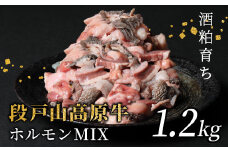 国産牛 段戸山高原牛 ホルモンMIX 1.2kg もつ鍋 焼肉用 ホルモン ホルモン焼き もつ鍋 焼肉 BBQ キャンプ 肉 鉄板焼き -191