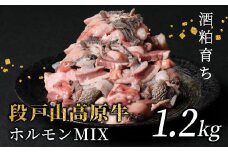 国産牛 段戸山高原牛 ホルモンMIX 1.2kg もつ鍋 焼肉用 ホルモン ホルモン焼き もつ鍋 焼肉 BBQ キャンプ 肉 鉄板焼き -191