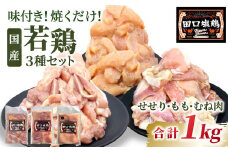 田口塩鶏 国産 若鶏味付け肉 3種セット 1kg（もも肉300g×1・むね肉300g×1・せせり200g×２）もも肉 むね肉 塩ダレ 味付け肉 鶏肉 鶏 肉 奥三河どり キャンプ バーベキュー 味付け肉 大容量 手軽 焼くだけ 地鶏 焼肉 焼き鳥 -169