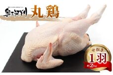 愛知県産 銘柄鶏 奥三河どり 丸鶏 １羽 約2ｋｇ 中抜き 国産 丸ごと一羽 冷凍 生 生鶏 チキン クリスマス パーティー バーベキュー BBQ アウトドア キャンプ ダッチオーブン チキン 鶏肉 鶏 高品質 平飼い -215