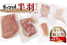 愛知県産 銘柄鶏 奥三河どり 半羽 小分け 個包装 約0.9ｋｇ 鶏肉セット 冷凍 生 生鶏 チキン クリスマス パーティー バーベキュー BBQ アウトドア キャンプ ダッチオーブン チキン 鶏肉 鶏 高品質 平飼い -214