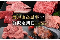 定期便限定部位が入った！全6回 段戸山高原牛 贅沢定期便 ロース サーロイン サーロインステーキ ハンバーグ すき焼き しゃぶしゃぶ サイコロステーキ ランプ モモ モモブロック 塊肉 ヒレ 希少部位 -331