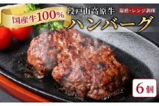 国産 牛肉 100% ハンバーグ レンジ可 湯煎 加熱済 6個 個包装 100ｇ 国産牛 牛 着色料 保存料 化学調味料 不使用 牛肉ハンバーグ 肉 肉汁 -095