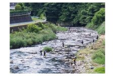 【16】大入川漁協【あゆ釣年券】