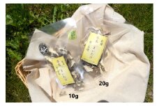 【20】乾燥　原木まいたけ　10ｇ