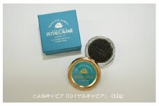 【32】とよねキャビア「ロイヤルキャビア」（12g）、チョウザメの切り身（100g）セット