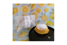 紀の宝マイヤーレモンケーキ～笑み結び～10個入り【1543950】