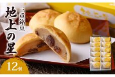 三重銘菓「地上の星」12個入　銘菓 お菓子 創作 和菓子 創作菓子 個包装 ギフト 三重県 津市