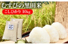 新米 むすびの黒田米 こしひかり 10キロ [ 米 お米 10kg 5kg×2袋 コシヒカリ お弁当 おむすび 冷めても美味しい ] 