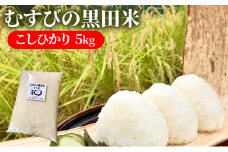 新米 むすびの黒田米 こしひかり 5キロ [ 米 お米 5kg コシヒカリ お弁当 おむすび 冷めても美味しい ]