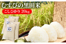 新米 むすびの黒田米 こしひかり 20キロ [ 米 お米 20kg 5kg×4袋 コシヒカリ お弁当 おむすび 冷めても美味しい ] 