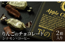 りんごのチョコレート2箱入り シナモン コーヒー チョコ お菓子 スイーツ 人気