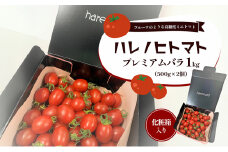 ハレノヒトマト プレミアムバラ1kg [ 糖度11度以上 500g×2個 ミニトマト とまと 野菜 フルーツトマト 化粧箱 ]