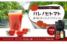 ハレノヒトマト食べ比べ＆トマトジュース170mlセット [ ハレノヒトマト(糖度10度)120g プレミアム(糖度11度以上)120g 各1個 トマト100％ 無塩 ミニトマト とまと 野菜 フルーツトマト 化粧箱 ]