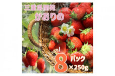 三重県産いちご 「かおり野」 8P [ 250g×8パック 2kg 三重県産オリジナル品種 果物 フルーツ 苺 イチゴ 人気 果肉かため 甘味強く酸味おだやか ]