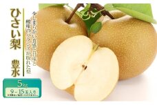 【先行予約】ひさい梨 豊水 5kg【果樹 秀専】 [ 梨 ナシ 果物 フルーツ 産地直送 ]