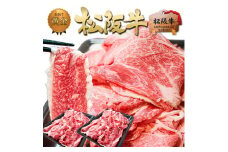松阪牛 切り落とし (500g×2) 牛肉 松坂牛 高級 和牛 焼肉 BBQ バーベキュー 牛 松坂牛肉 ブランド牛 黒毛和牛 松坂 人気 自宅用 グルメ お取り寄せ 日本三大和牛 誕生日 お祝い ご馳走 パーティー 贅沢 松良 