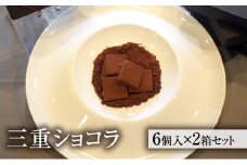 シャンピニオン生ショコラ 2箱セット [ 生チョコレート チョコレート チョコ キノコ 天然オオイチョウタケ スイーツ お菓子 お酒のおとも ご褒美 ]