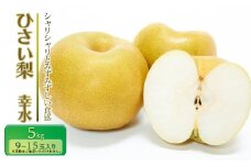 【先行予約】ひさい梨 幸水 5kg【果樹 秀専】 [ 梨 ナシ 果物 フルーツ 産地直送 ]