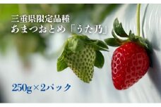 あまつおとめ イチゴ「うた乃」三重県限定品種 計500g (250g×2パック)[ 五感で楽しむ至福のいちご 果物 フルーツ 苺 イチゴ ブランド 人気 ]