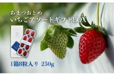 あまつおとめ いちご アソート ギフト BOX 1箱 8粒入り 250g [ 五感で楽しむ至福のいちご よつぼし かおり野 スターナイト うた乃 ほしうらら 果物 フルーツ 苺 イチゴ ブランド 食べ比べ セット 詰め合わせ お楽しみ 人気 ]