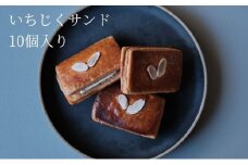 いちじくサンド 10個入 サンドクッキー バターサンド サブレ 洋菓子 お菓子 スイーツ ギフト 手土産 津市 三重県
