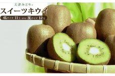 美津みどり　スイーツキウイ [ キウイフルーツ ジューシー 甘い 大きい 果物 フルーツ 産地直送 ]