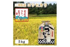 【選べる精米率】新米 令和7年産 三重県産 コシヒカリ 5kg［白米 玄米 5分つき米 7分つき米]　7分つき米