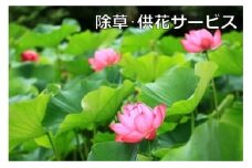 ご先祖見守りサービス：除草・供花サービス～お墓の管理をお手伝いします～