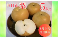 【先行予約】水谷さんが真心こめて育てた梨 5kg