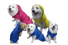 超大型犬用 レインコート