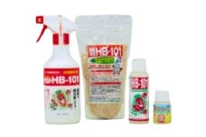 HB-101 セット