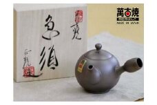 【萬古焼（ばんこやき）】舘正規作　丸無地急須（木箱入）
