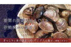 楠町名産　蓄養蛤大サイズ　たっぷり3kg　＜ハマグリ　お吸い物に、焼きはまぐりに！＞