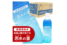 長期保存水 泗水の里 500ml 1ケース（24本入） 賞味期限2028年3月24日＜災害　防災　備蓄　キャンプ　アウトドア　外遊び　水分補給＞