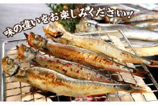 国内加工　ししゃも食べ比べセット　