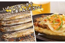 国内加工　特大ししゃも　4箱セット