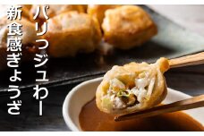 中京TV「PS純金」で紹介されました！パリっジュわー新食感が人気！餃子専門店「ぎょうざ衛門」の揚げ焼き「満月餃子」